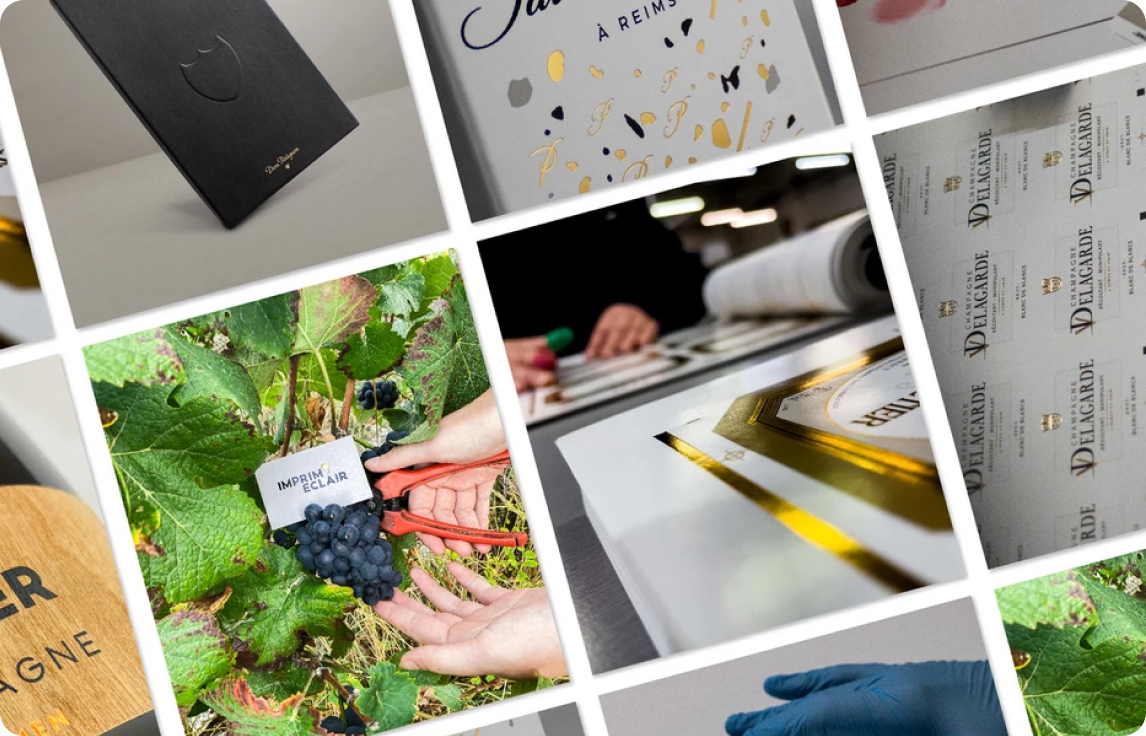 Image section projet