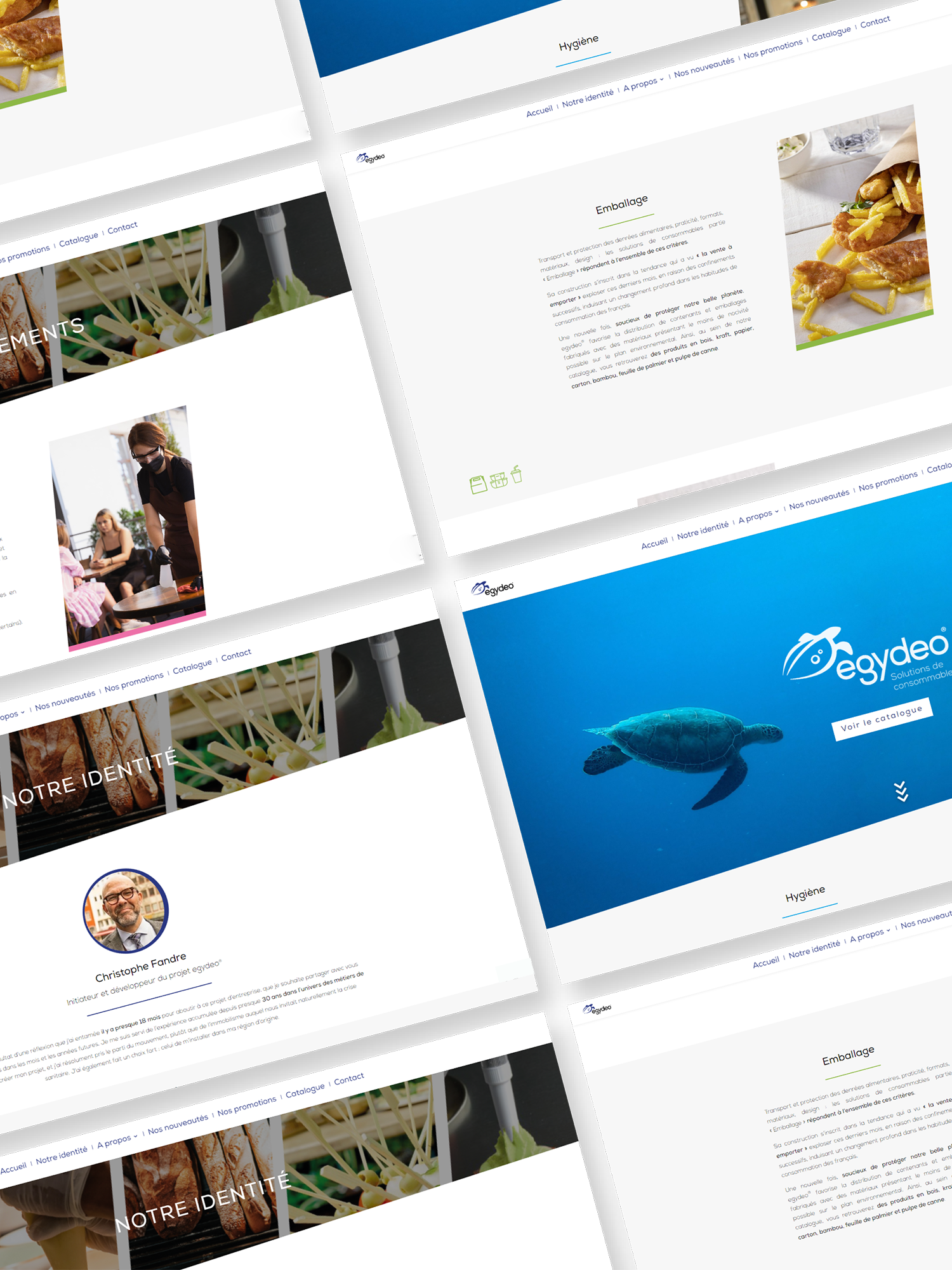 Image section projet