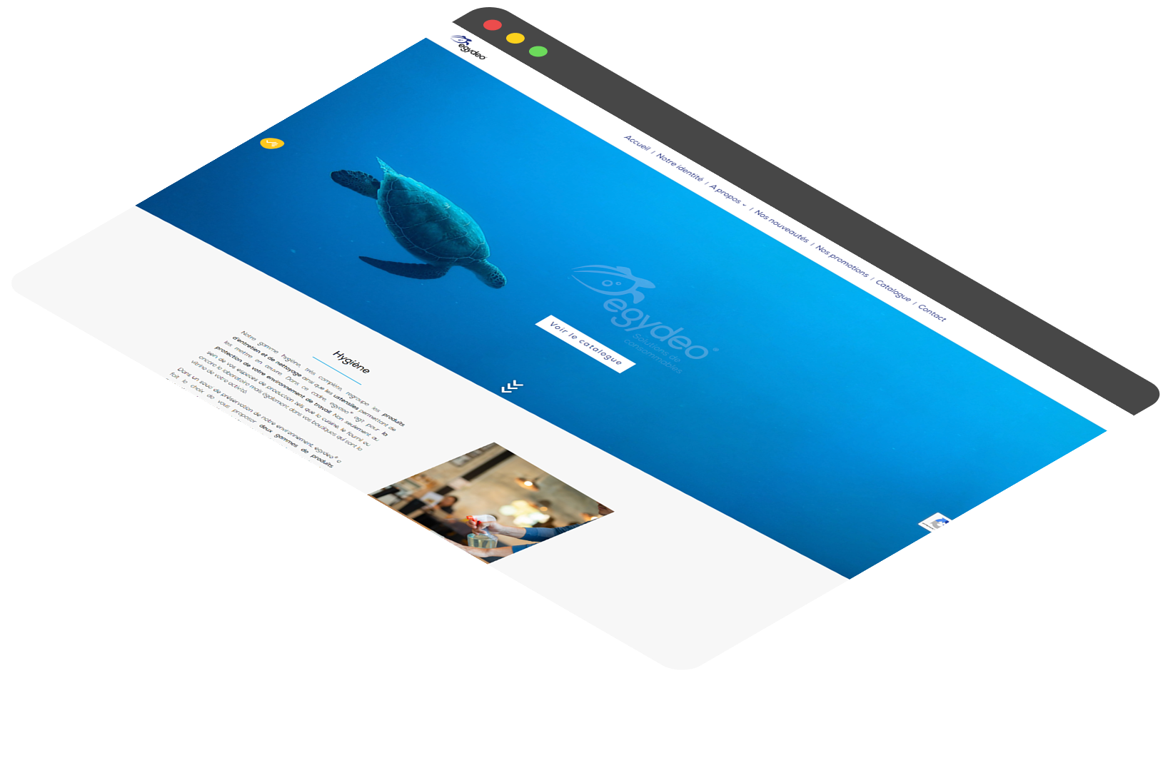 Image description projet