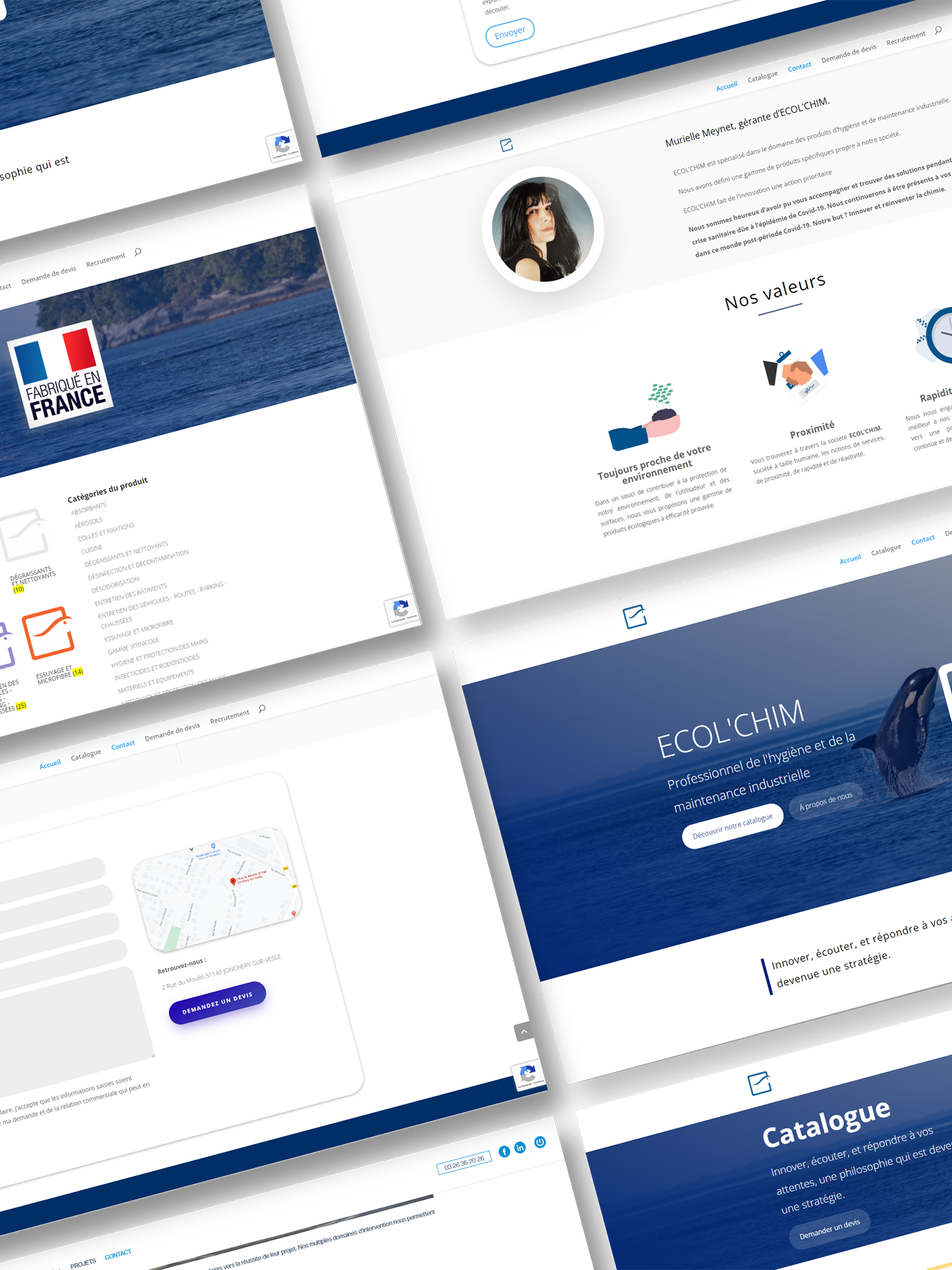 Image section projet